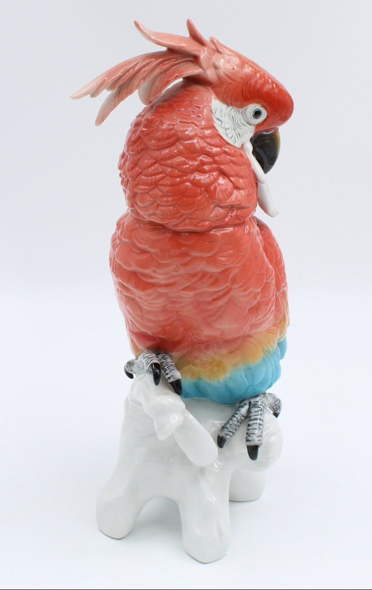 Karl Ens Large Enameled Porcelain Bird Saxony Parrot Cockatoo H = 34 Cm *-photo-2