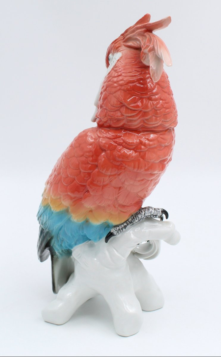 Karl Ens Large Enameled Porcelain Bird Saxony Parrot Cockatoo H = 34 Cm *-photo-3