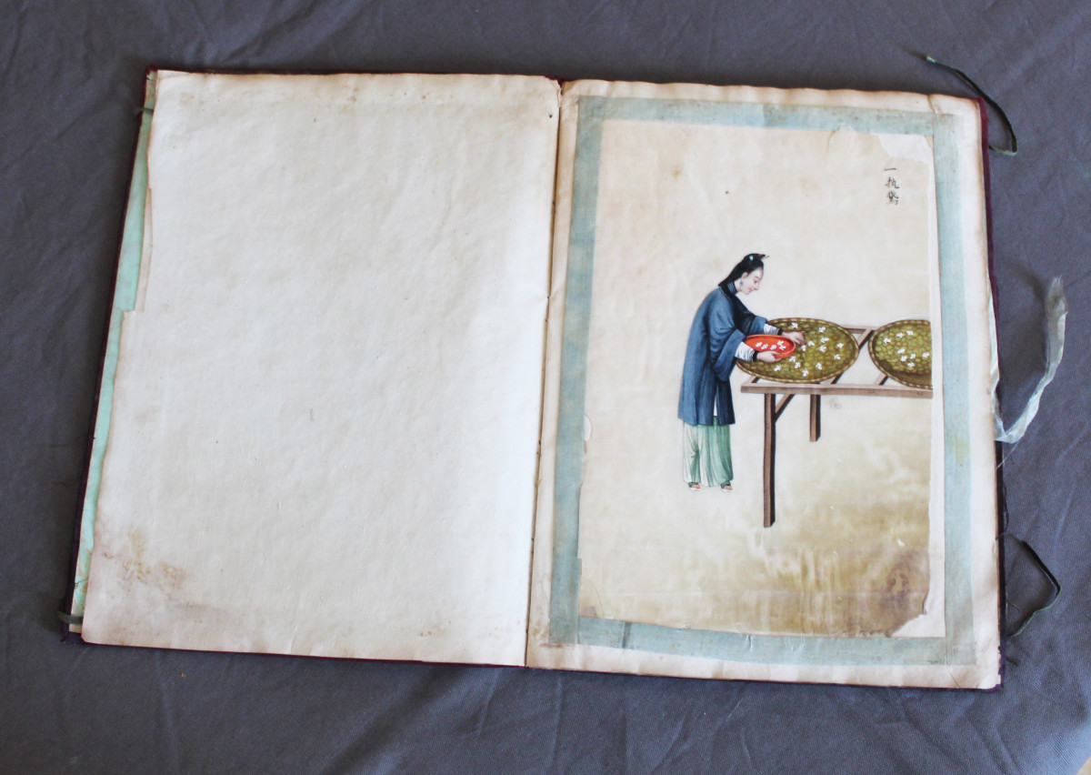 Album 16 peintures sur papier de riz signées CHINE 19 EME YOEEQUA