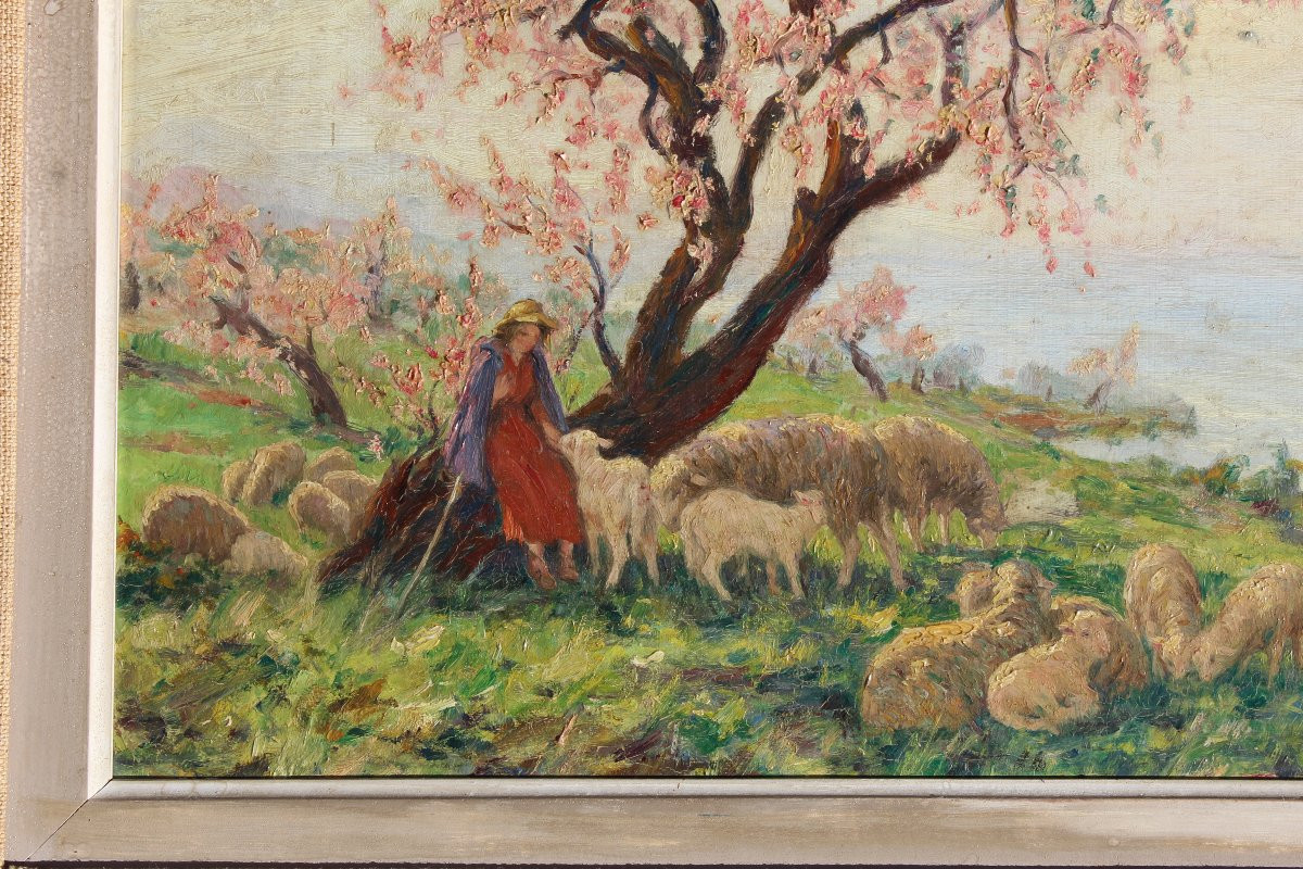 Huile sur panneau" Bergère gardant le troupeau de chèvres " peint par Théophile Mayan signé-photo-4