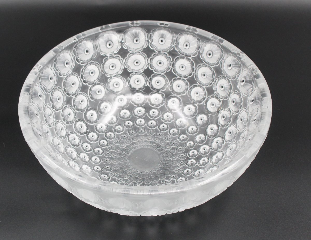 Coupe modèle « Nemours » signée Lalique france -photo-2