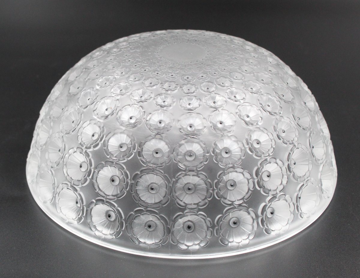 Coupe modèle « Nemours » signée Lalique france -photo-4