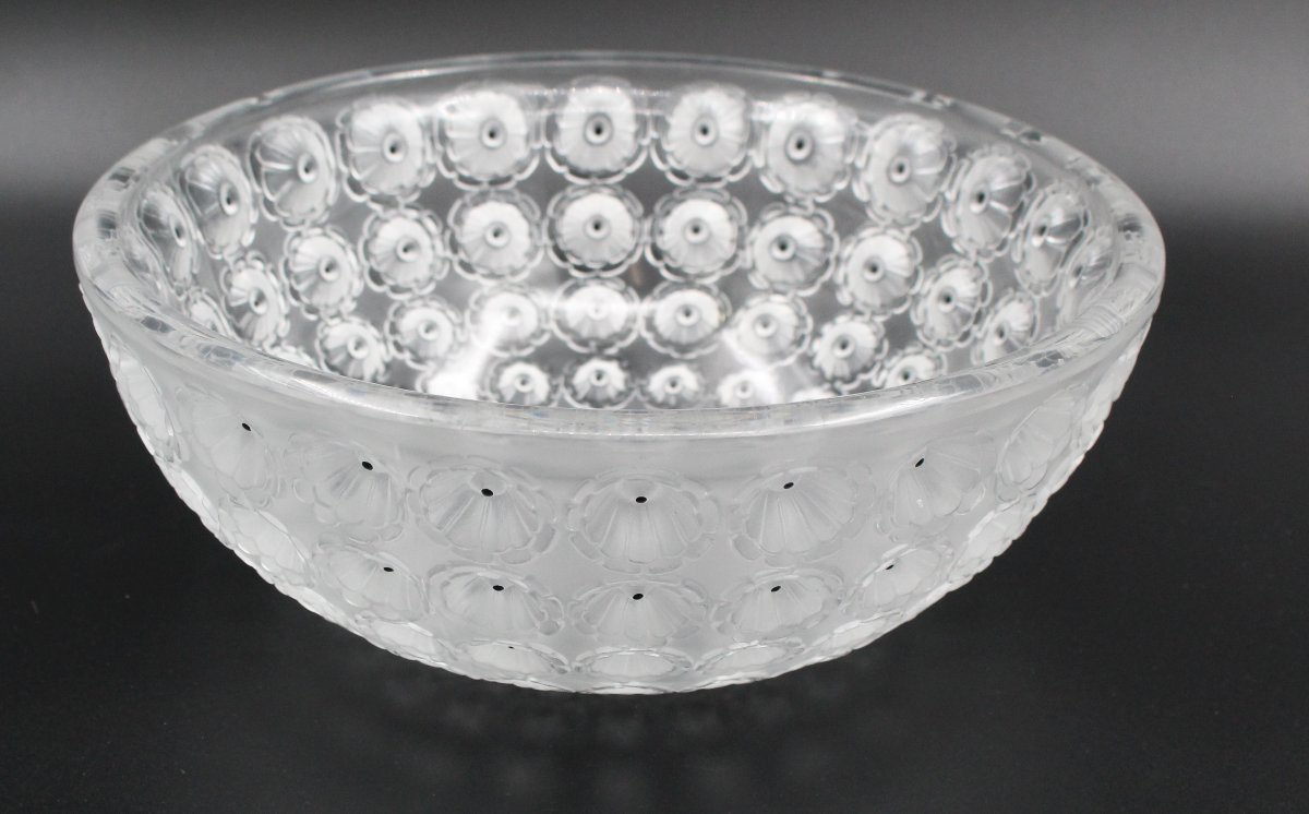 Coupe modèle « Nemours » signée Lalique france 