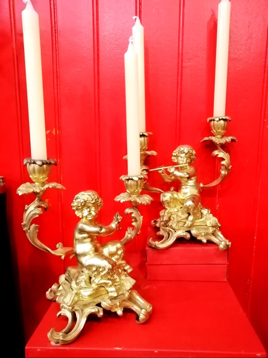 Faunas