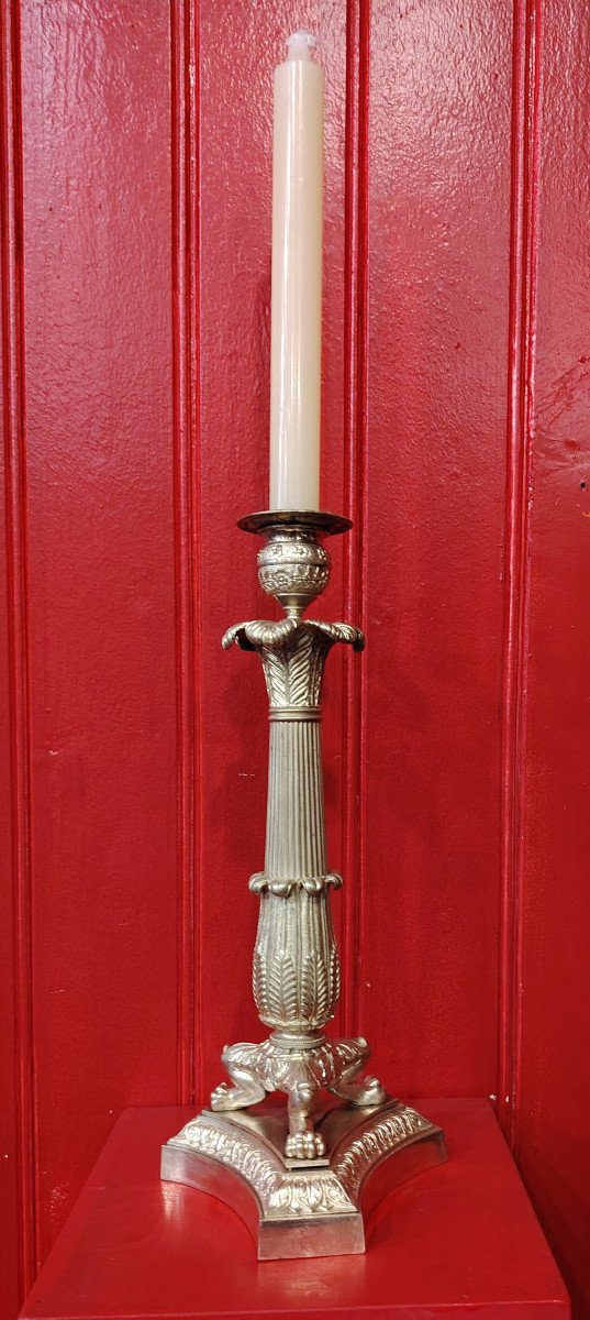Torches-photo-3