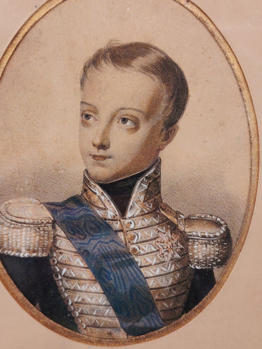 Duke Of Bordeaux-photo-4