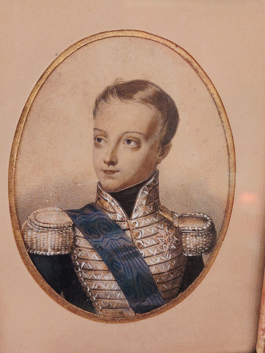 Duke Of Bordeaux-photo-1