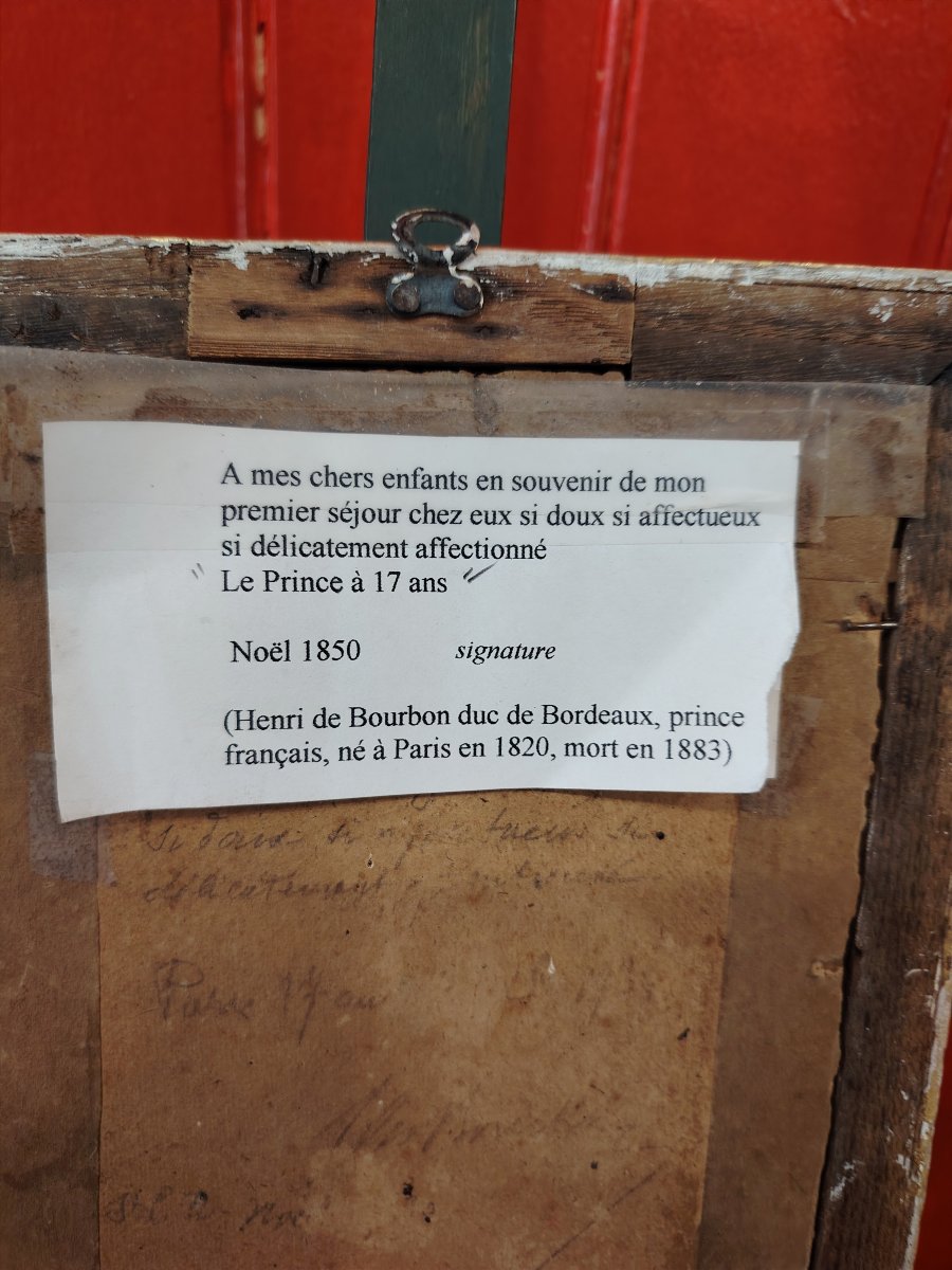 Duke Of Bordeaux-photo-4