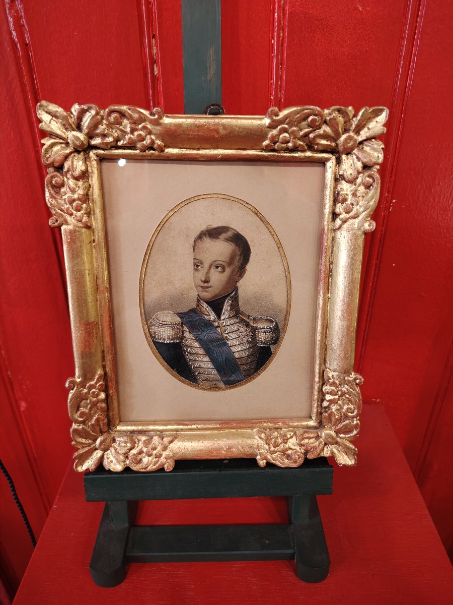 Duke Of Bordeaux-photo-5