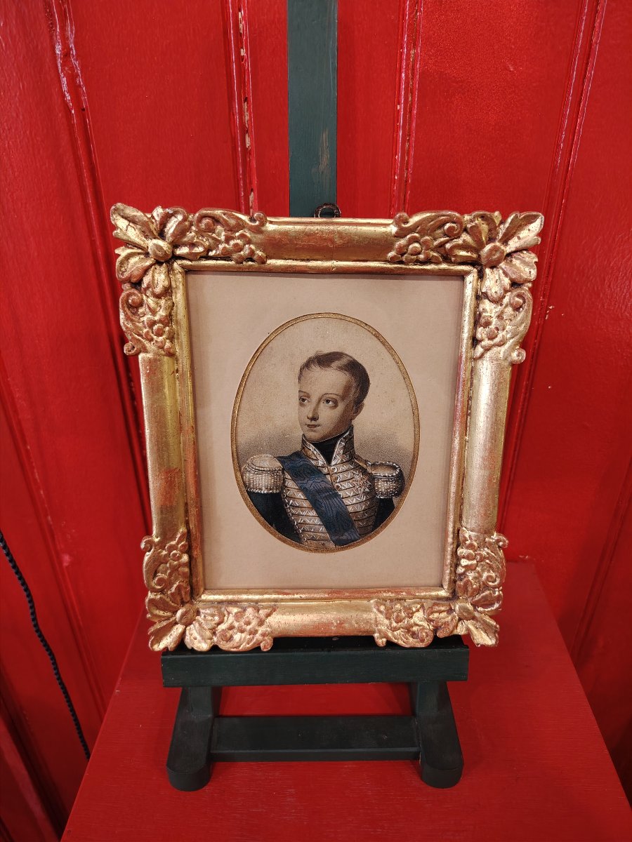 Duke Of Bordeaux-photo-6