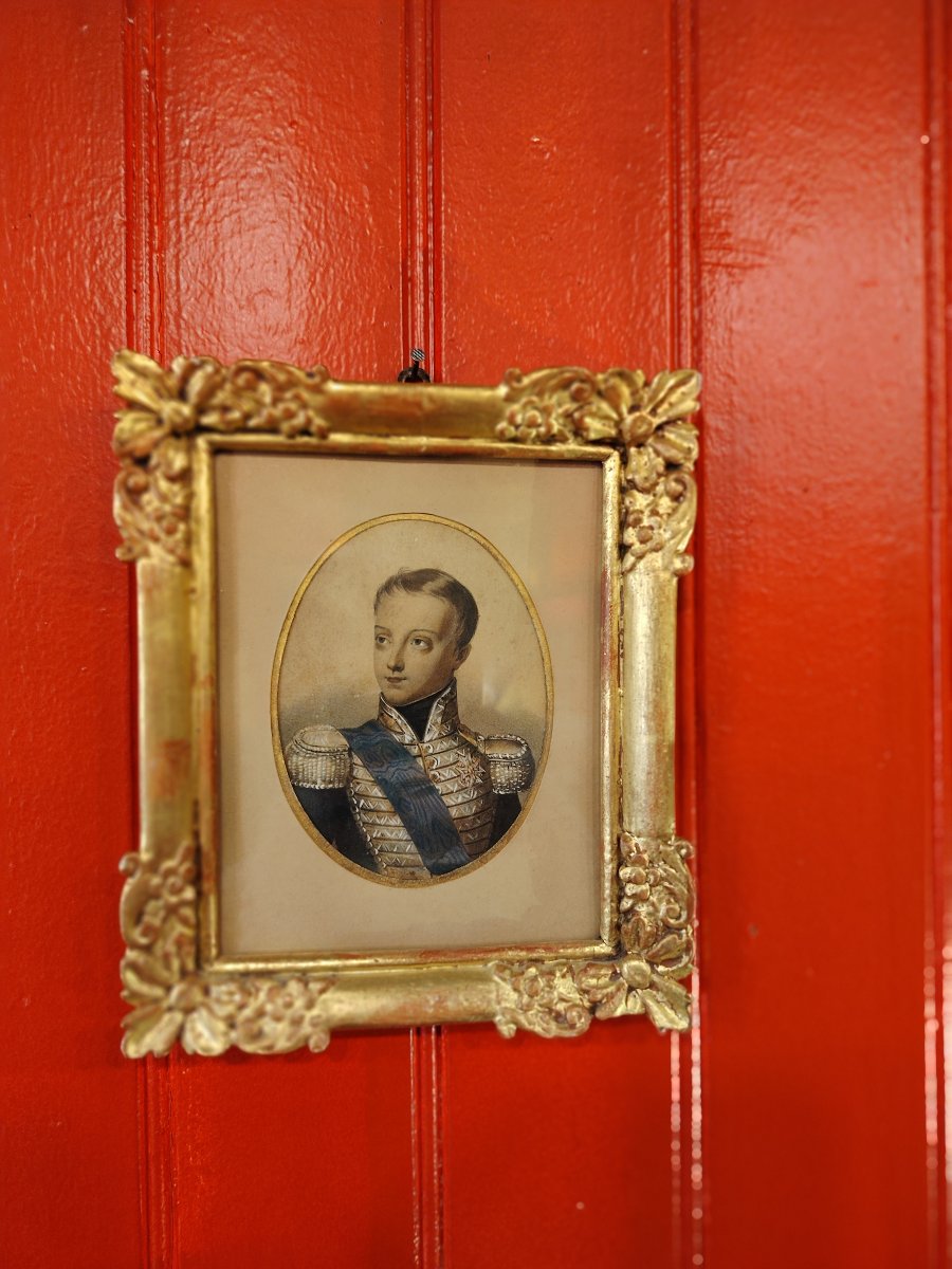 Duke Of Bordeaux-photo-7