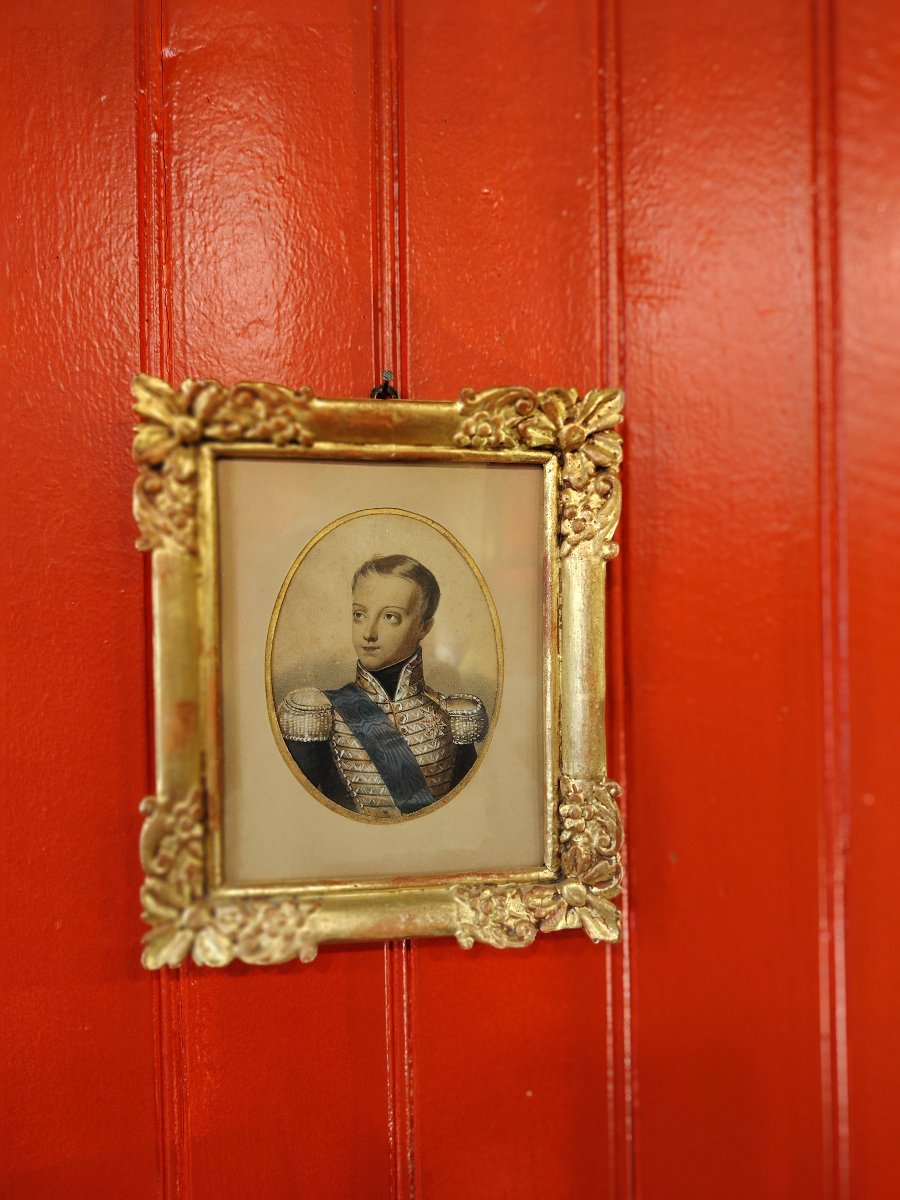 Duke Of Bordeaux-photo-8