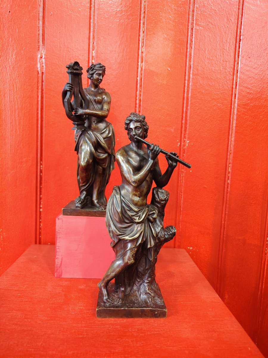 Eutherpe-photo-2