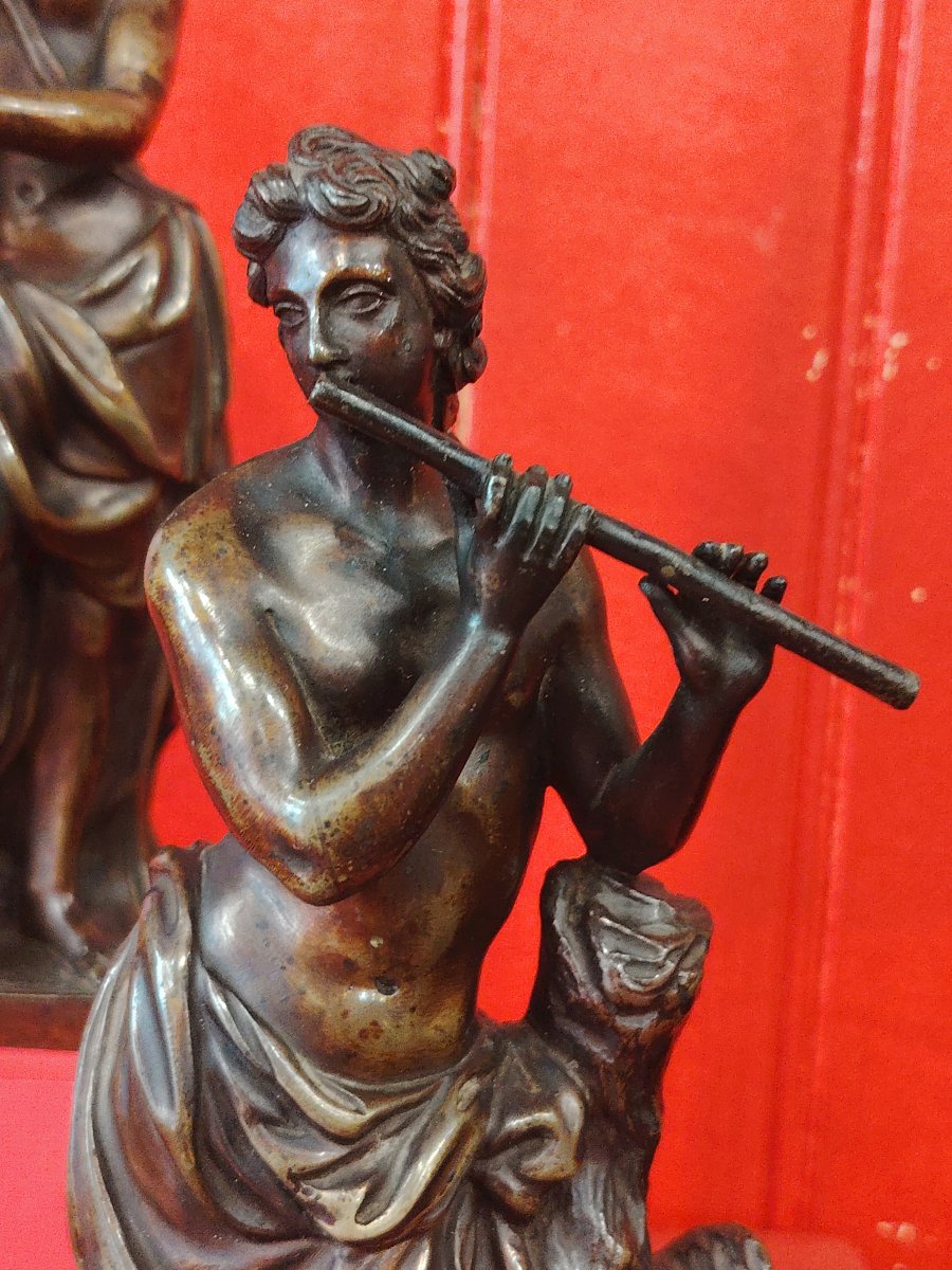 Eutherpe-photo-3