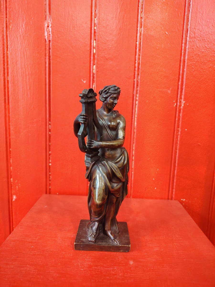 Eutherpe-photo-1