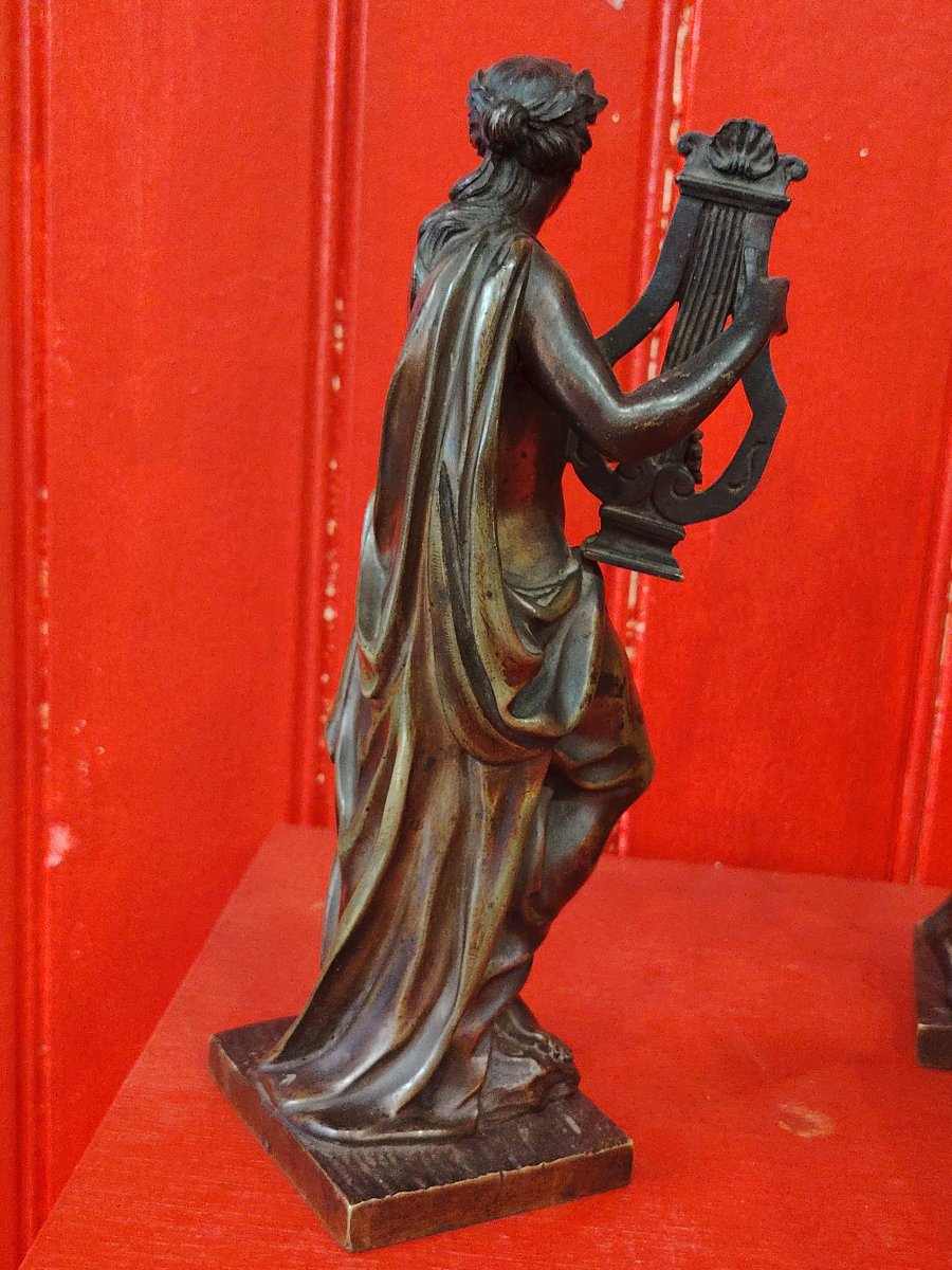 Eutherpe-photo-2