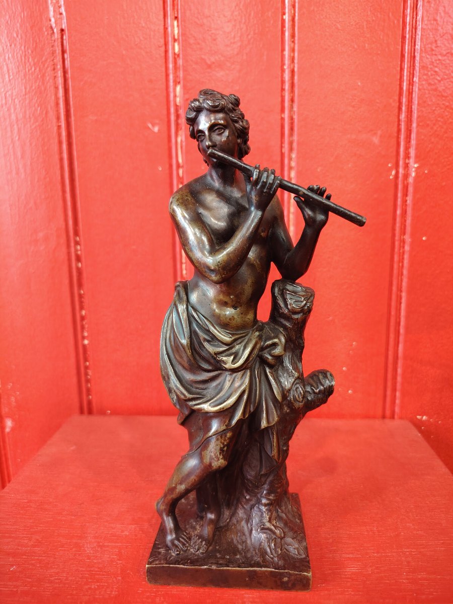 Eutherpe-photo-3