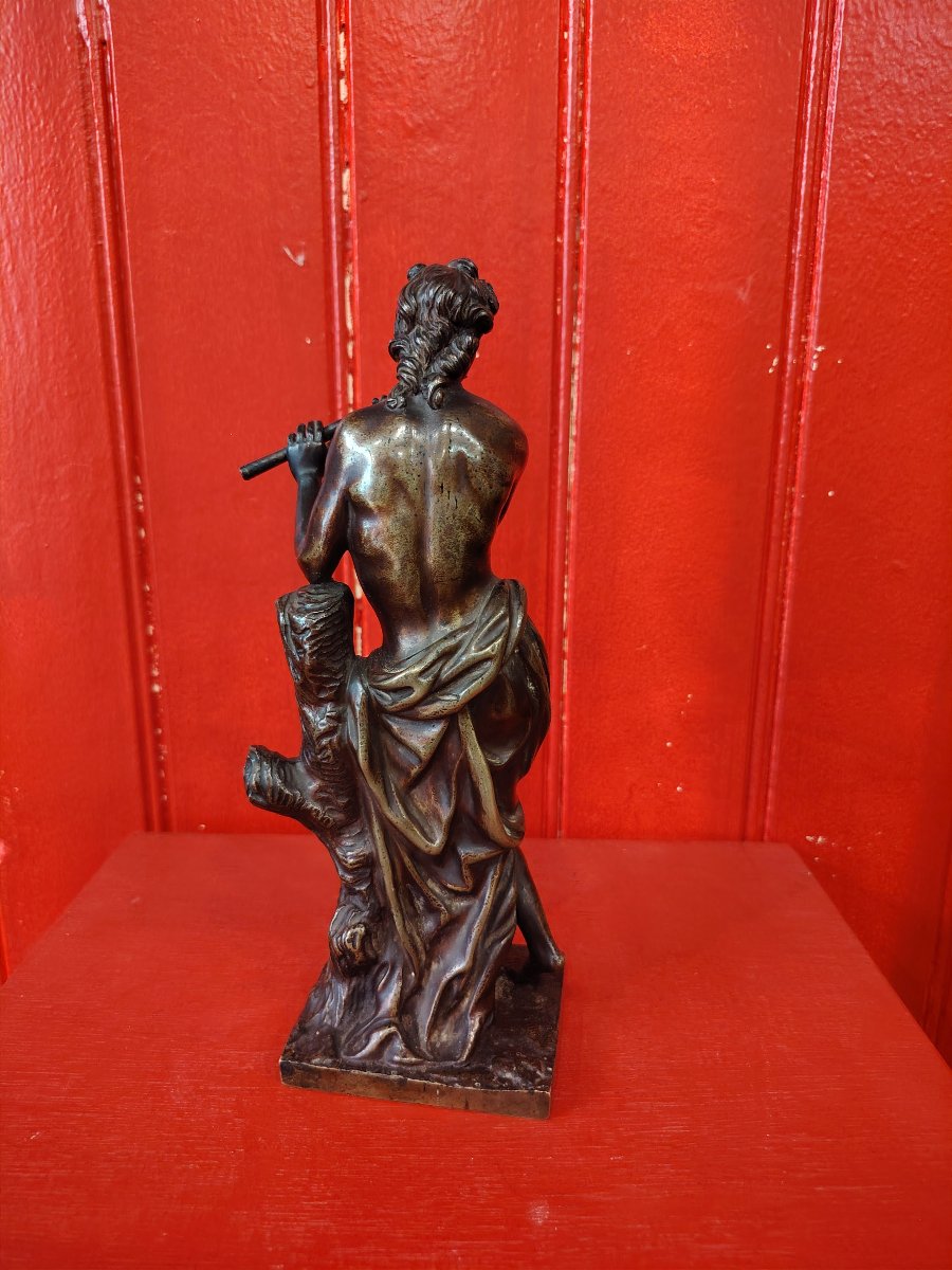 Eutherpe-photo-6