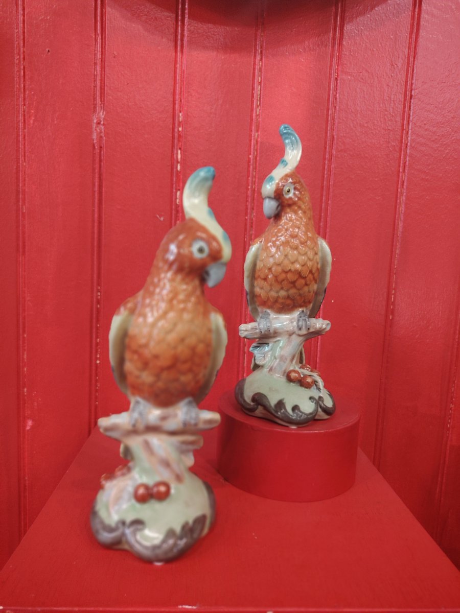 Birds-photo-2