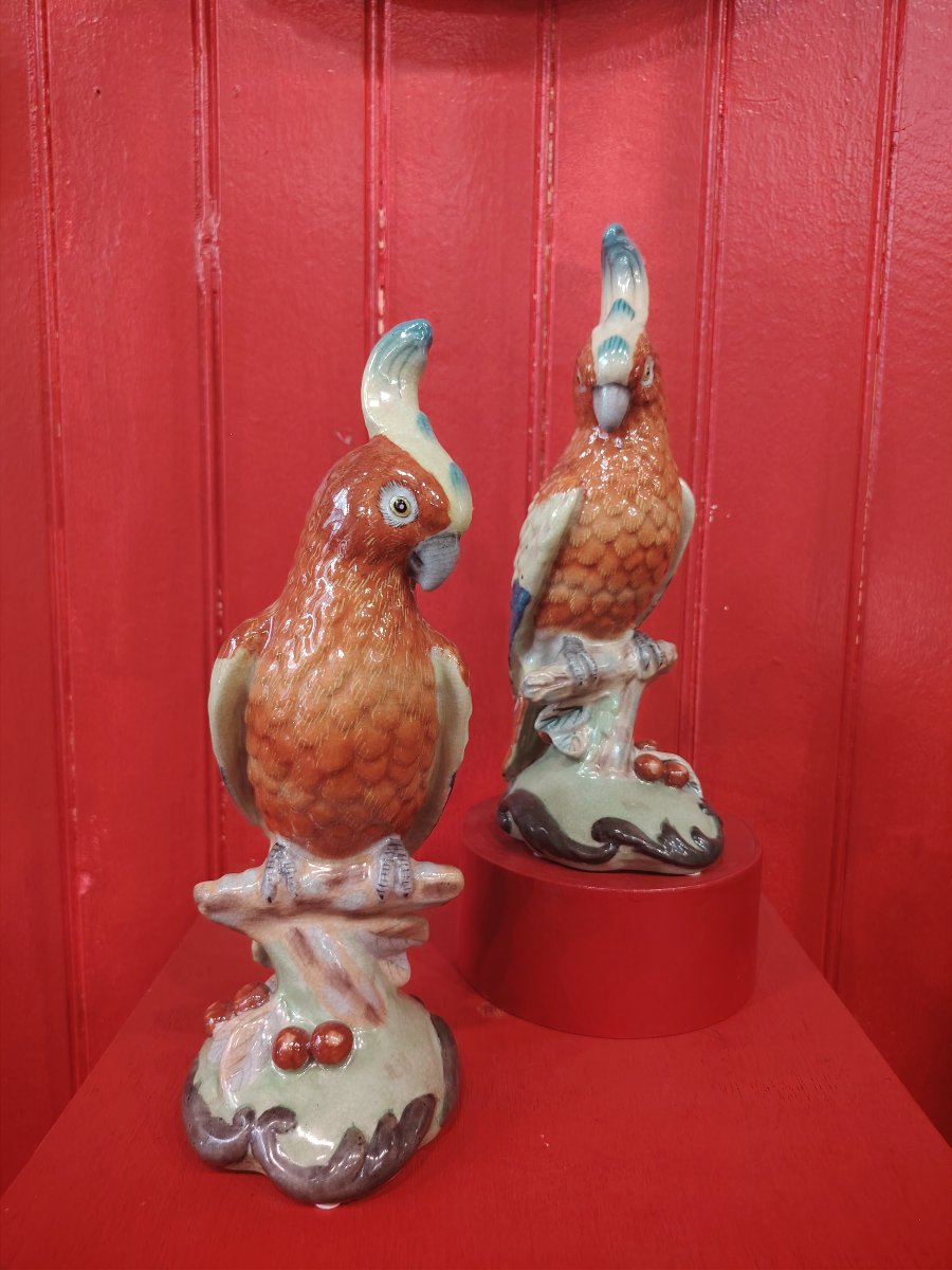 Birds-photo-3