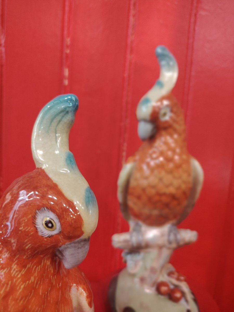 Birds-photo-2