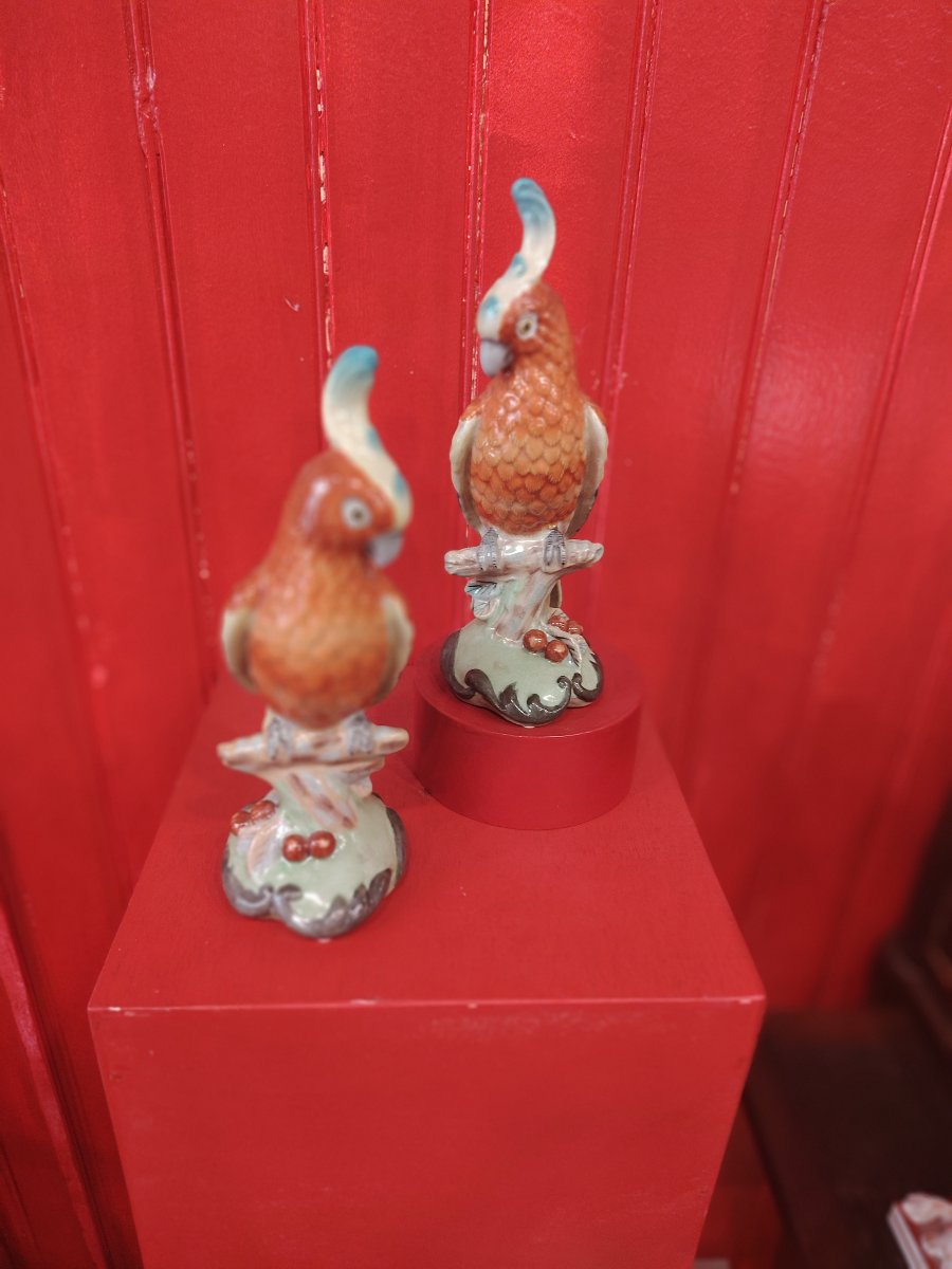 Birds-photo-4