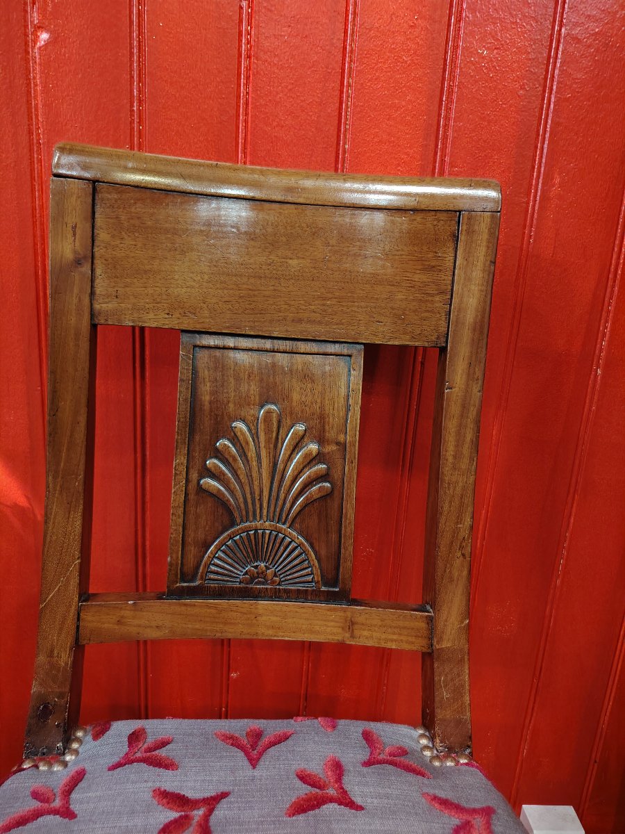 Palmette-photo-4