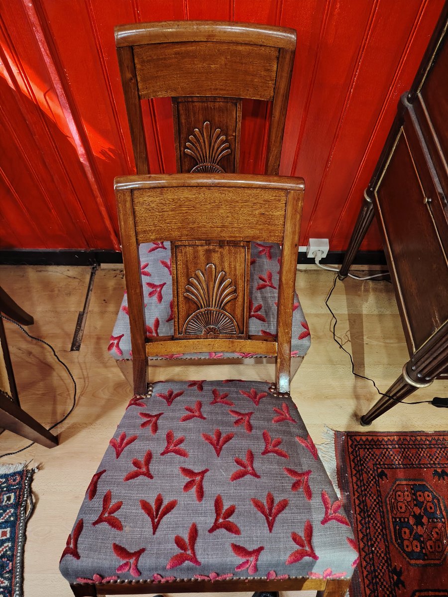 Palmette-photo-2