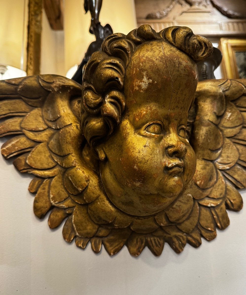 Angel Head In Golden Wood-photo-1