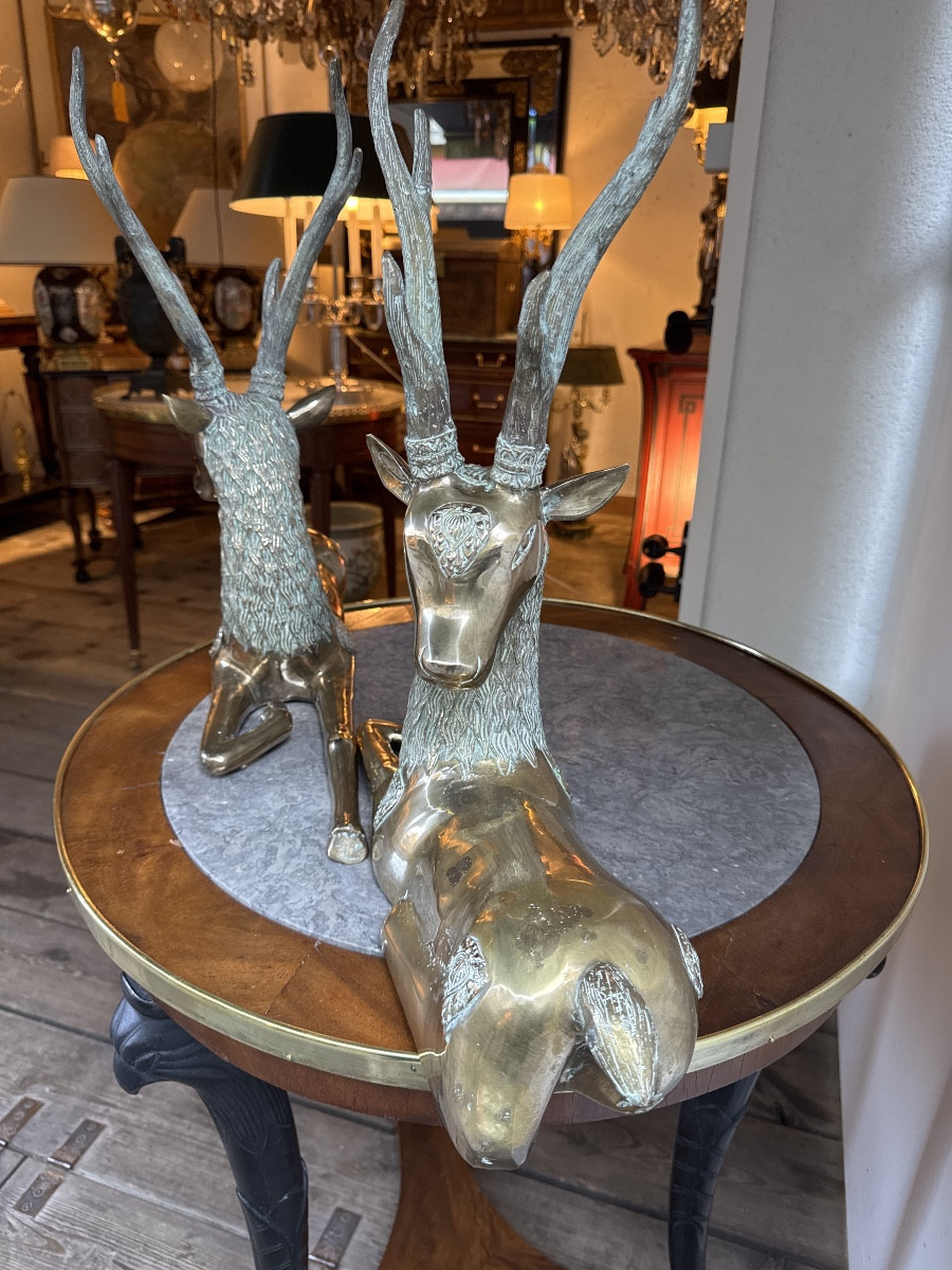 Bronze Stags-photo-3