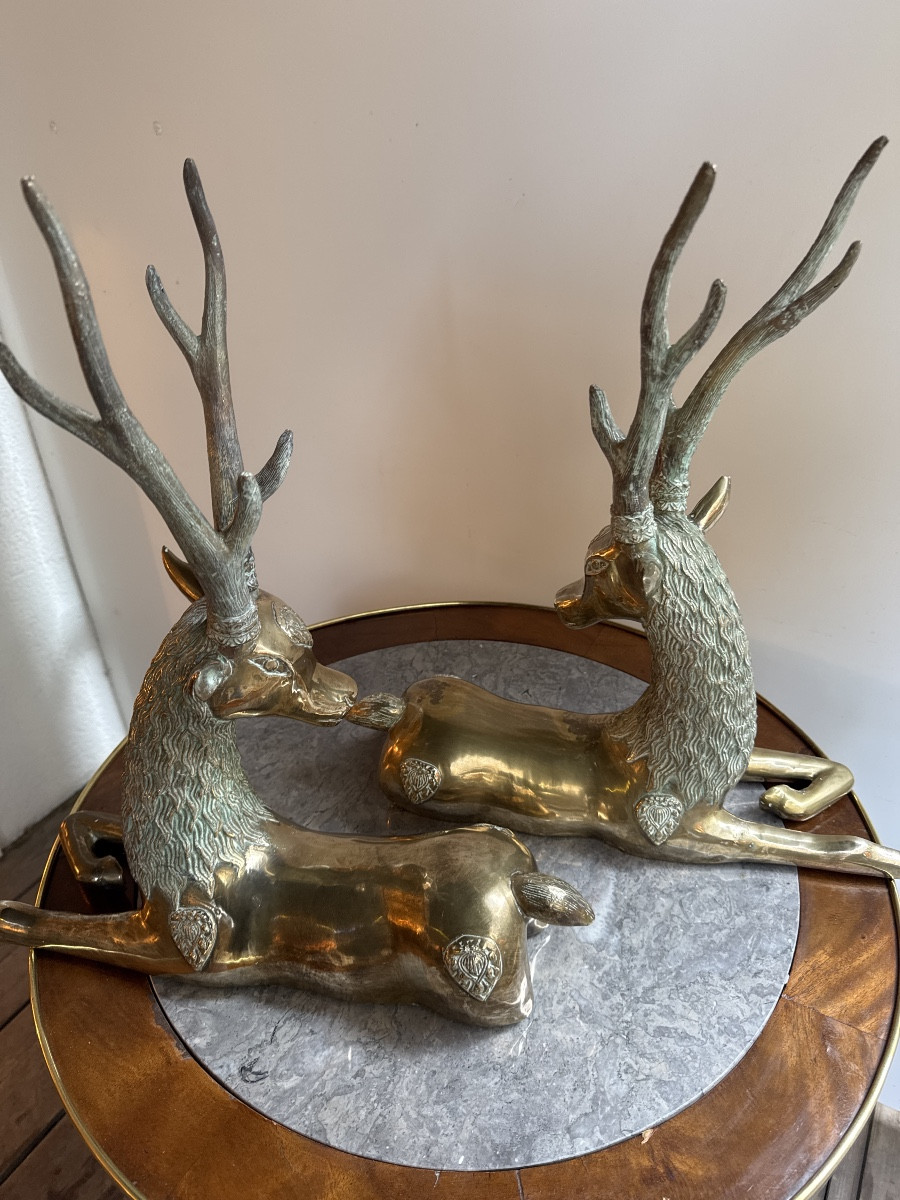 Bronze Stags-photo-3