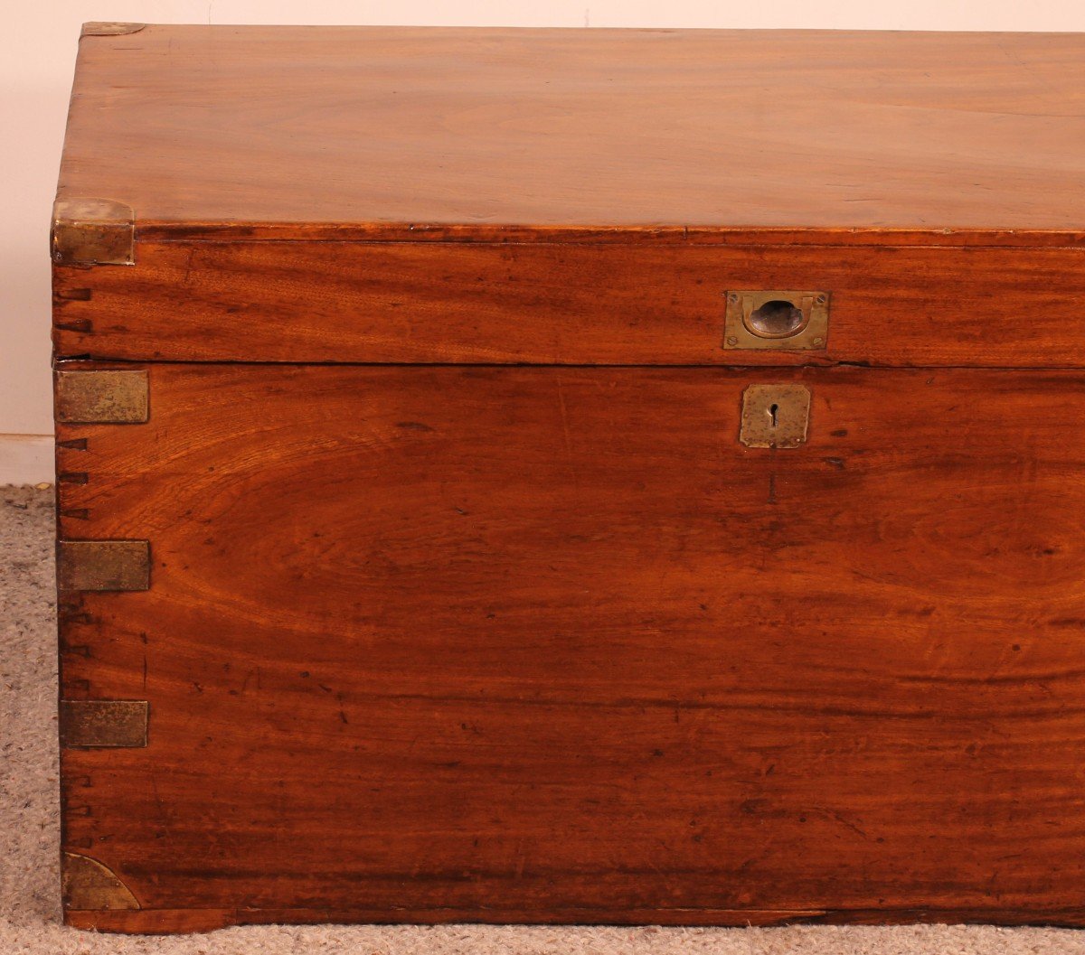 Large Marine Chest In Camphor From The 19th Century-photo-4