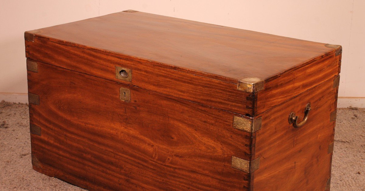Large Marine Chest In Camphor From The 19th Century-photo-4
