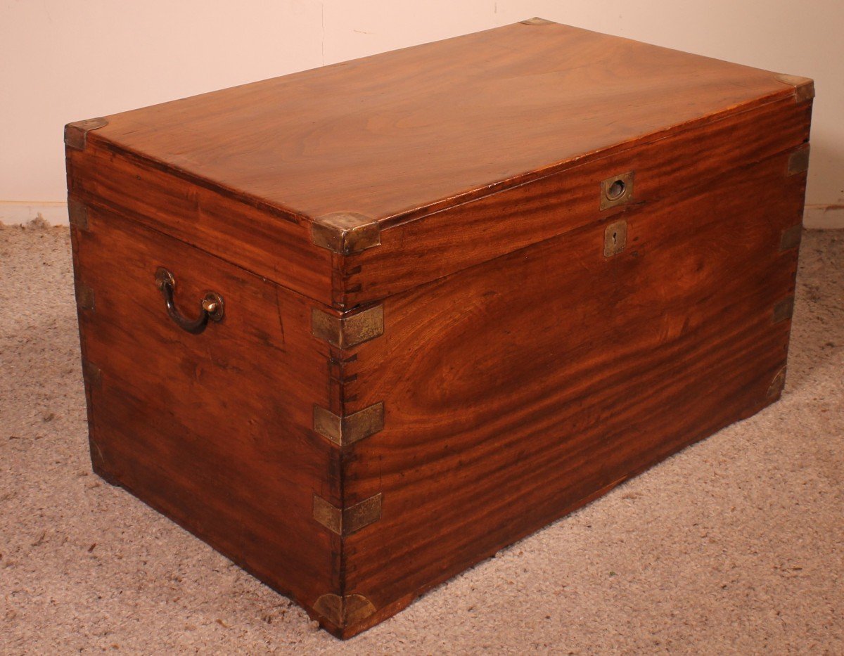 Large Marine Chest In Camphor From The 19th Century-photo-8