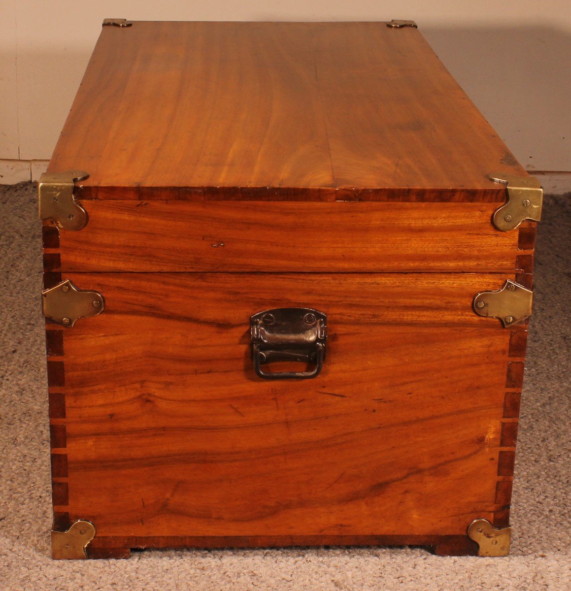 Campaign Chest In Camphor Camphor Wood -photo-5