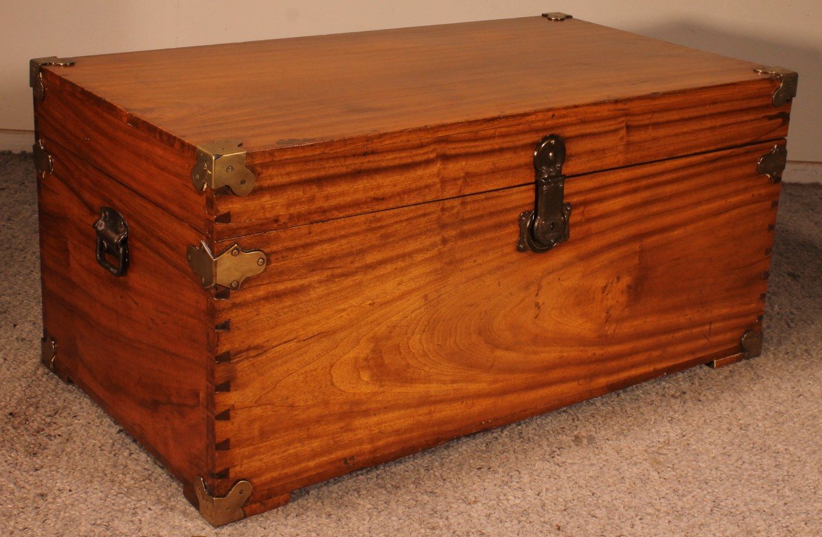 Campaign Chest In Camphor Camphor Wood -photo-6