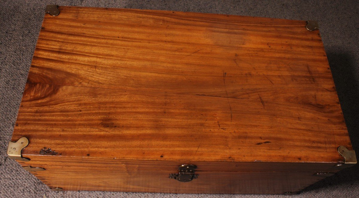 Campaign Chest In Camphor Camphor Wood -photo-8