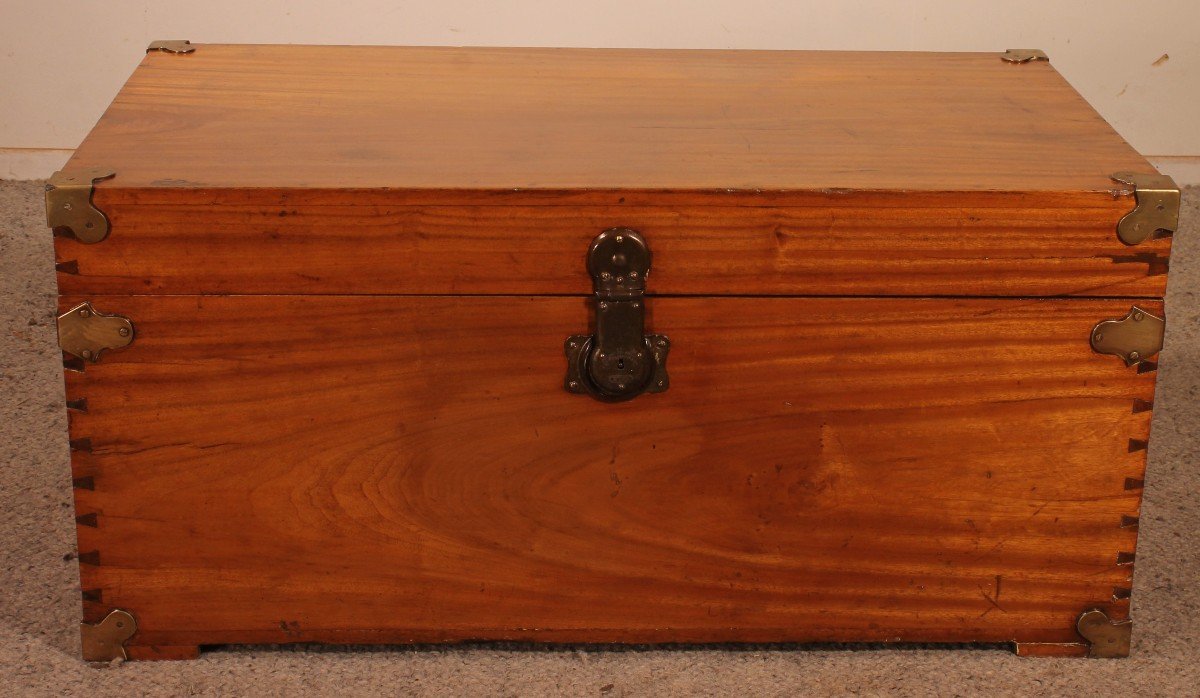 Campaign Chest In Camphor Camphor Wood 