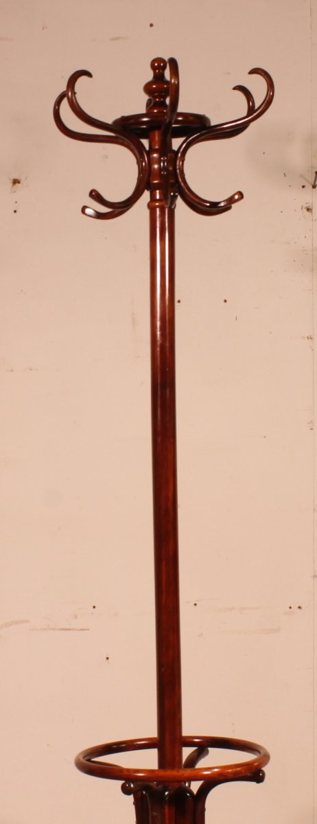 Porte Manteau perroquet, Art Nouveau, dit Thonet-photo-3