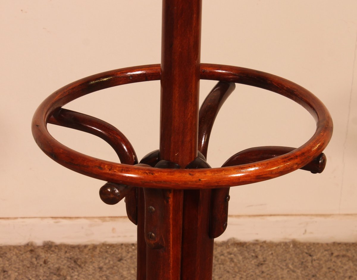 Porte Manteau perroquet, Art Nouveau, dit Thonet-photo-4