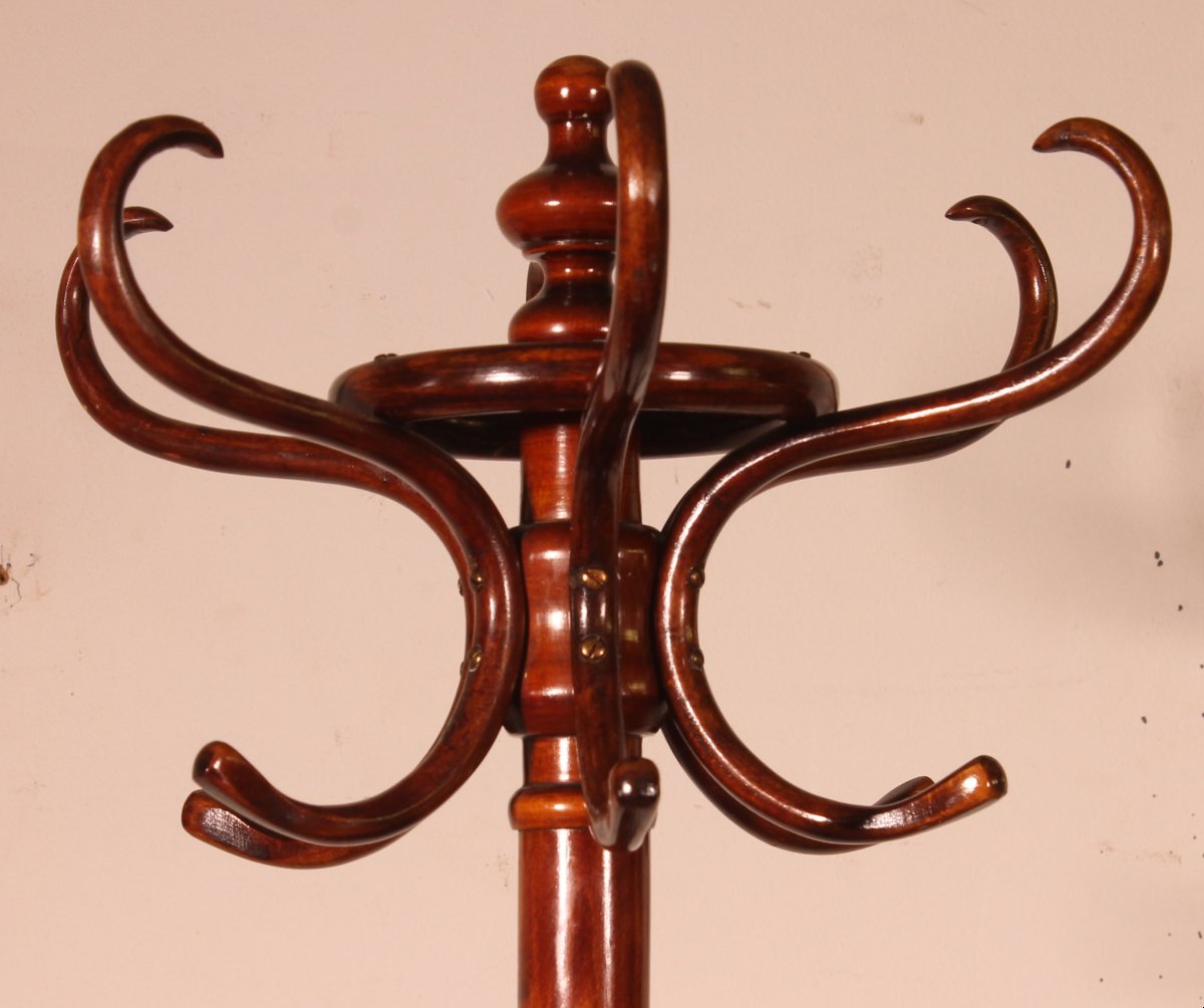 Porte Manteau perroquet, Art Nouveau, dit Thonet-photo-2