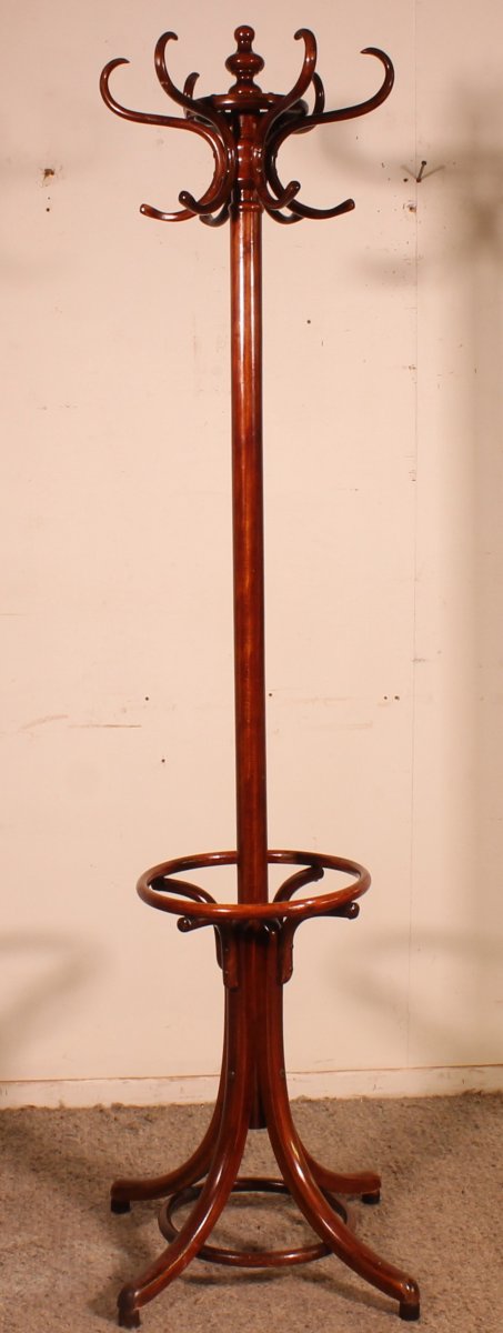 Porte Manteau perroquet, Art Nouveau, dit Thonet-photo-4