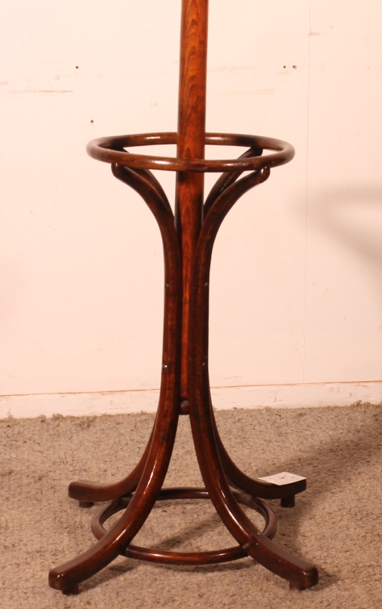 Parrot Coat Rack, Art Nouveau  Known As Thonet Coat Rack-photo-2