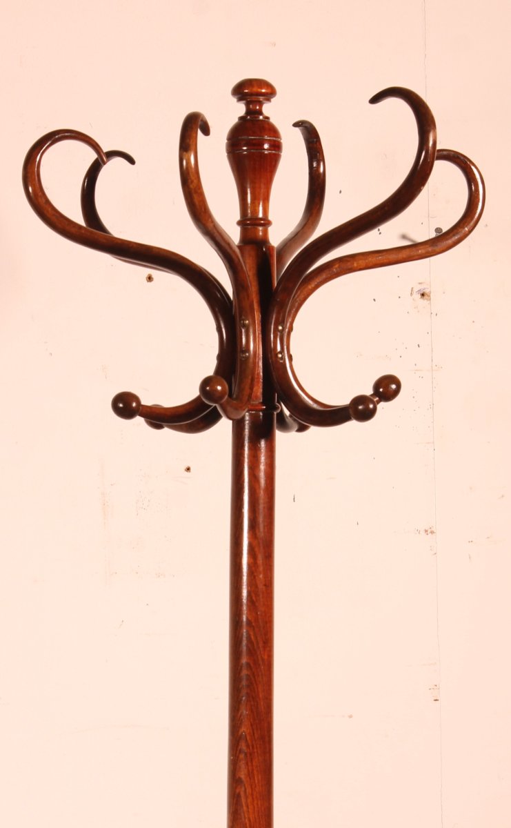 Parrot Coat Rack, Art Nouveau  Known As Thonet Coat Rack-photo-3