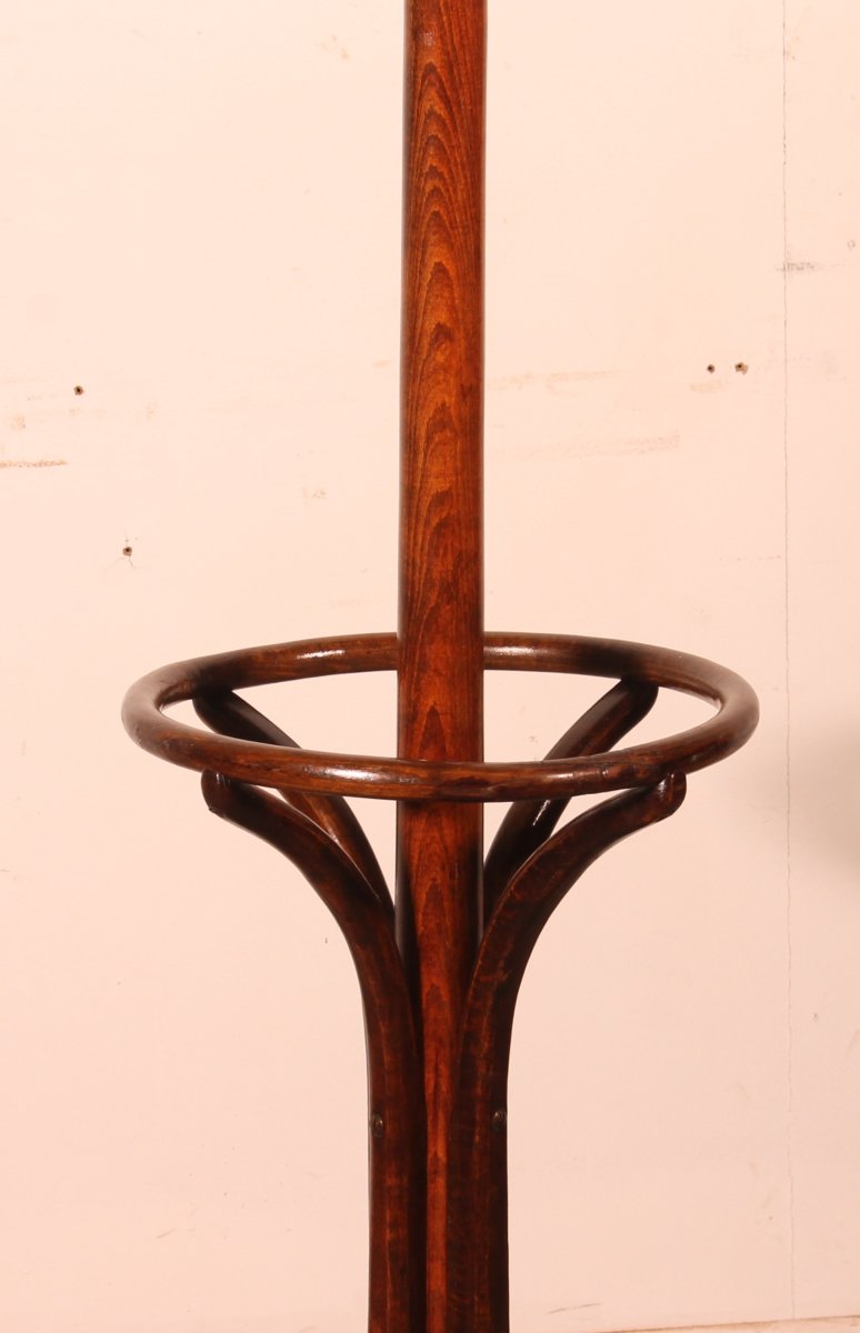 Parrot Coat Rack, Art Nouveau  Known As Thonet Coat Rack-photo-4