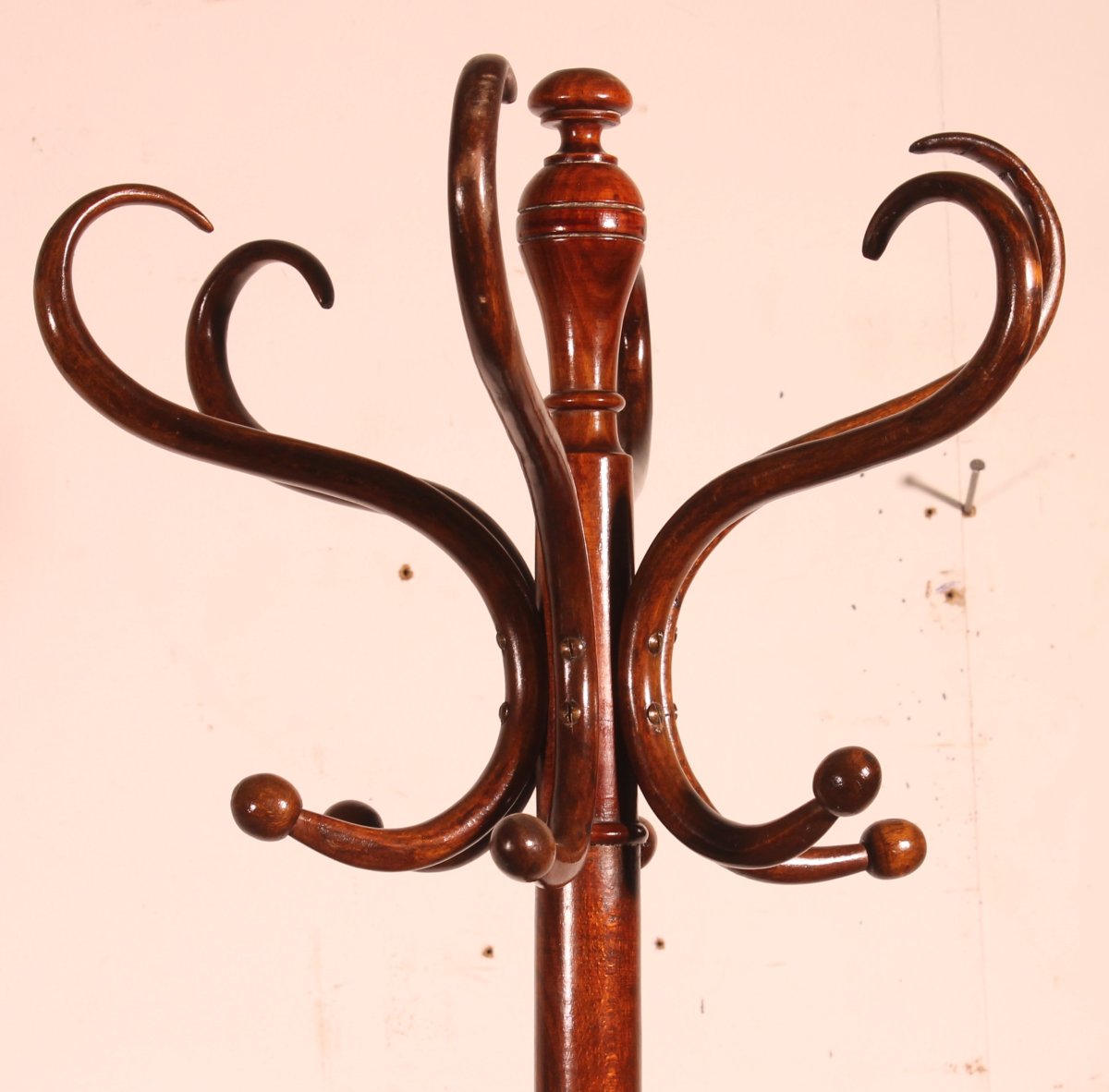 Parrot Coat Rack, Art Nouveau  Known As Thonet Coat Rack-photo-2