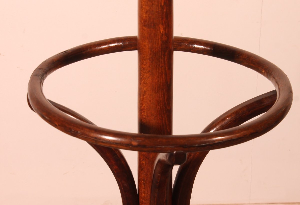 Parrot Coat Rack, Art Nouveau  Known As Thonet Coat Rack-photo-4