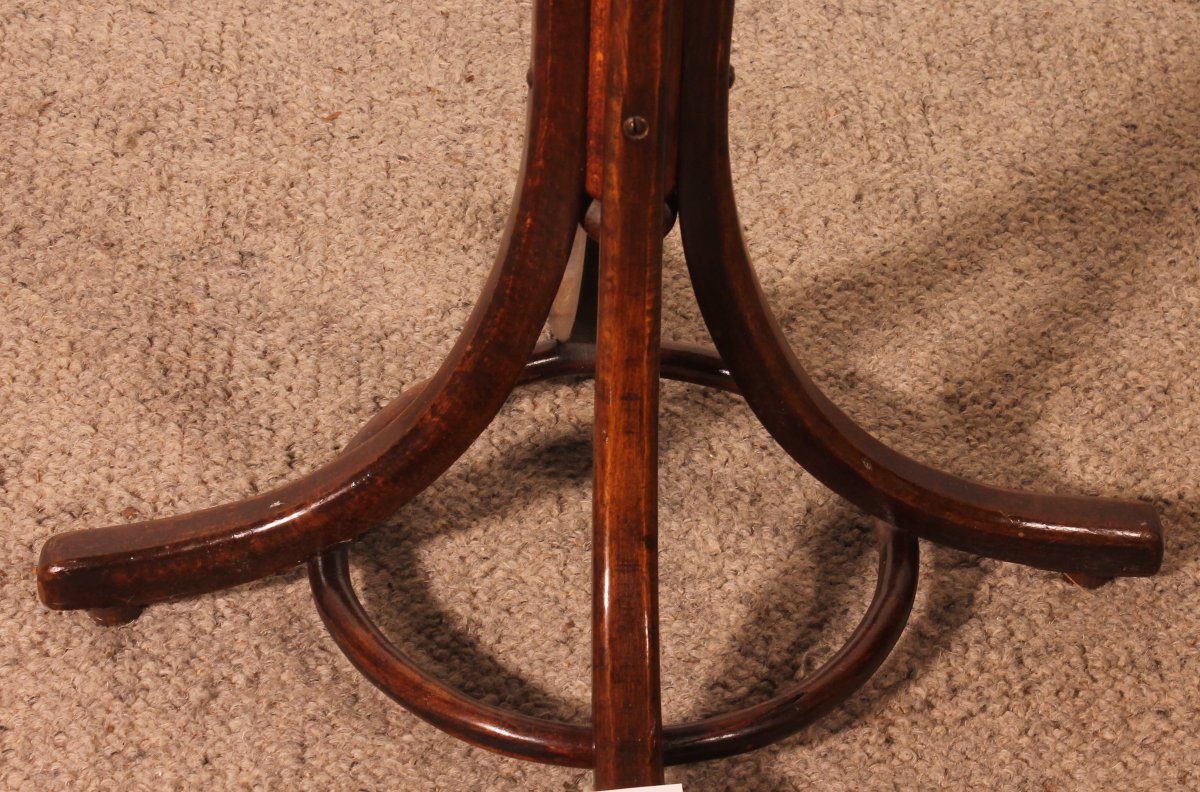 Parrot Coat Rack, Art Nouveau  Known As Thonet Coat Rack-photo-5