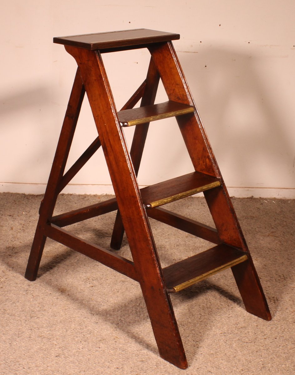 Mahogany Stepladder/library Ladder - 19th Century