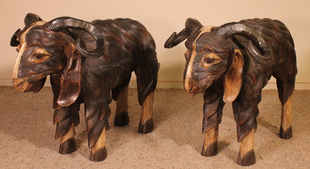 Pair Of Scottish Ram In Polychrome Wood-19 Century-photo-3